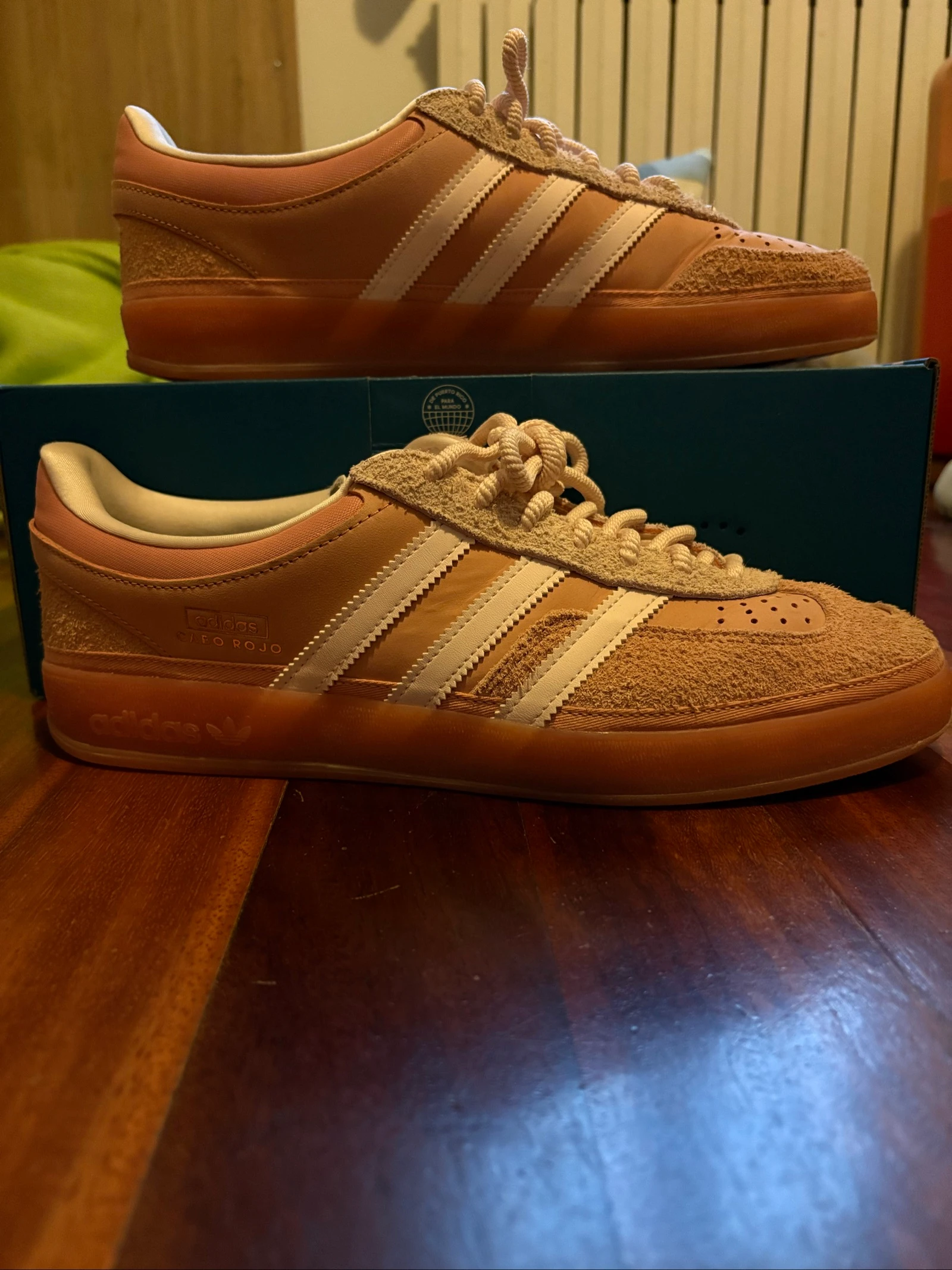 Gazelle indoor bad bunny
